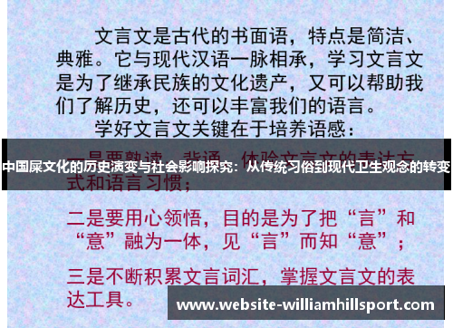 中国屎文化的历史演变与社会影响探究：从传统习俗到现代卫生观念的转变