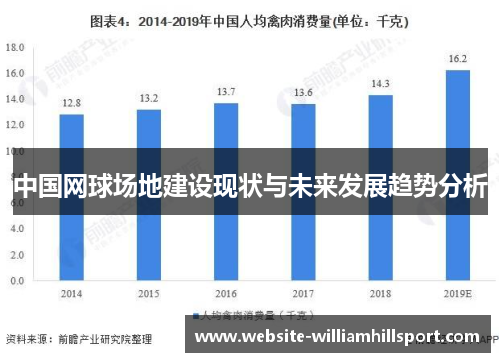 中国网球场地建设现状与未来发展趋势分析